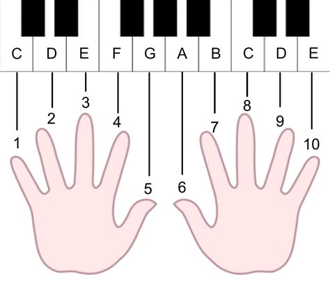 finger piano|piano fingers placement chart.